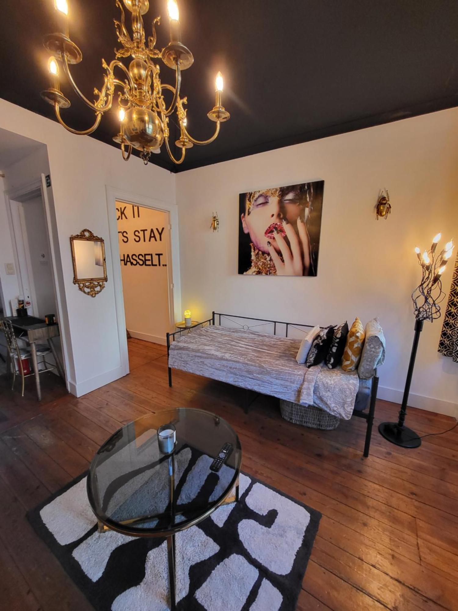 Ds39 - Sexy & Stylish Private Apartment With A Terrace In The Centre Of Hasselt For 1-8 People With Netflix Eksteriør billede